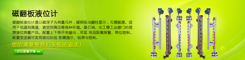 高壓反應釜液位計    高壓儲罐液位計訂做加工